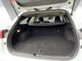 Kia Ceed SW / cee'd SW Sportswagon Vision 1.0 T-GDI Kamera SitzHzg. Bianco - thumbnail 12
