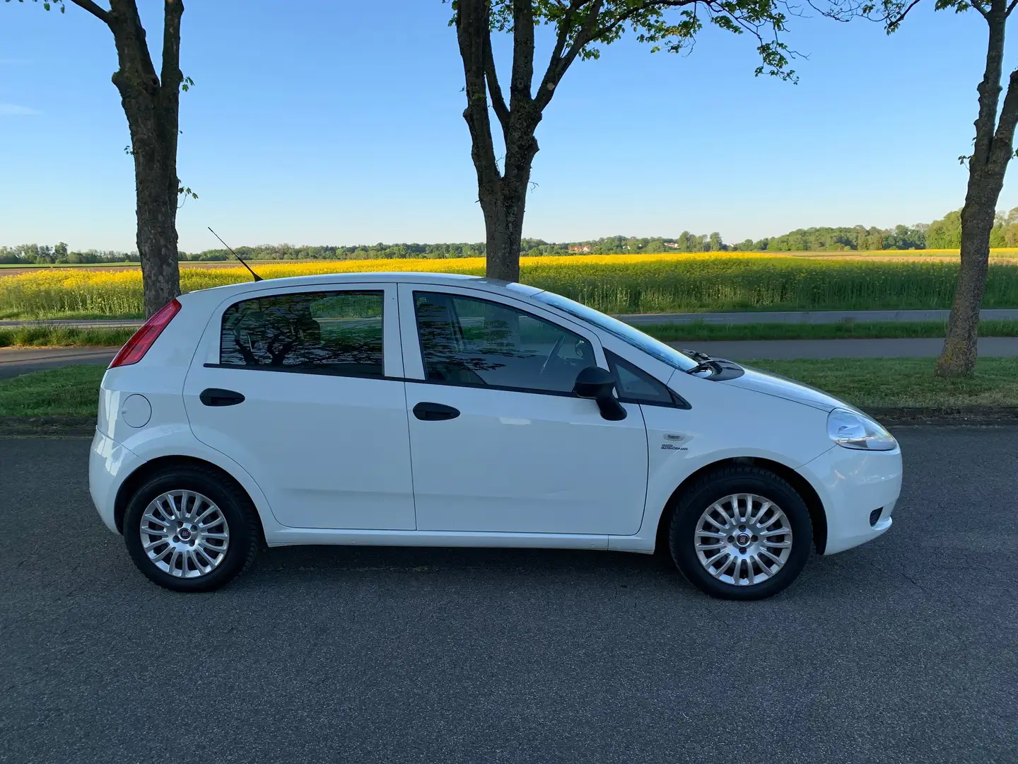 Fiat Punto 1.3 Multijet Weiß - 2