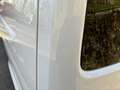 Volkswagen T6 Transporter DSG Lang - thumbnail 7