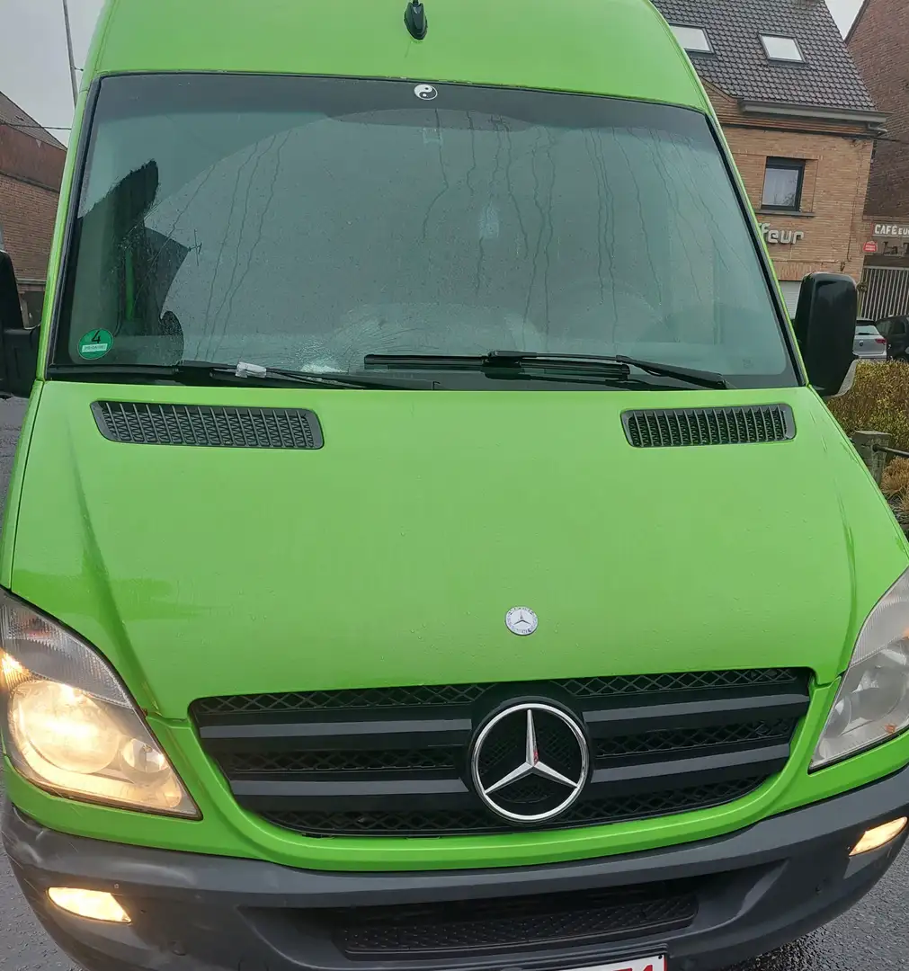 Mercedes-Benz Sprinter 313 CDI 4x4 906.635 EEV - 1
