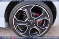 Ford Fiesta ST200 EDITION 1.6 3p ST 200 cv Grau - thumbnail 31