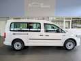 Volkswagen Caddy TSi Maxi Park-Assist*Sitzheizung*Tempomat Bianco - thumbnail 2
