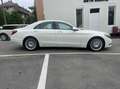 Mercedes-Benz S 350 BlueTec / d 4Matic/Panorama/ bijela - thumbnail 5