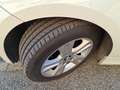 BMW 120 120d Cabrio Attiva Bianco - thumbnail 12