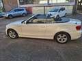 BMW 120 120d Cabrio Attiva Bianco - thumbnail 5