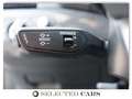Audi RS4 Avant TFSI Tiptronic Exclusiv Ceramic Carbon Silber - thumbnail 21