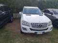 Mercedes-Benz ML 350 ML 350 cdi Premium auto E5 Bianco - thumbnail 4