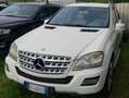 Mercedes-Benz ML 350 ML 350 cdi Premium auto E5 Bianco - thumbnail 2