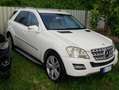 Mercedes-Benz ML 350 ML 350 cdi Premium auto E5 Bianco - thumbnail 5