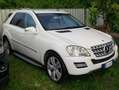 Mercedes-Benz ML 350 ML 350 cdi Premium auto E5 Bianco - thumbnail 3