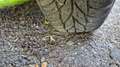 Peugeot 206 SW 1.4 HDi Fleet - thumbnail 12