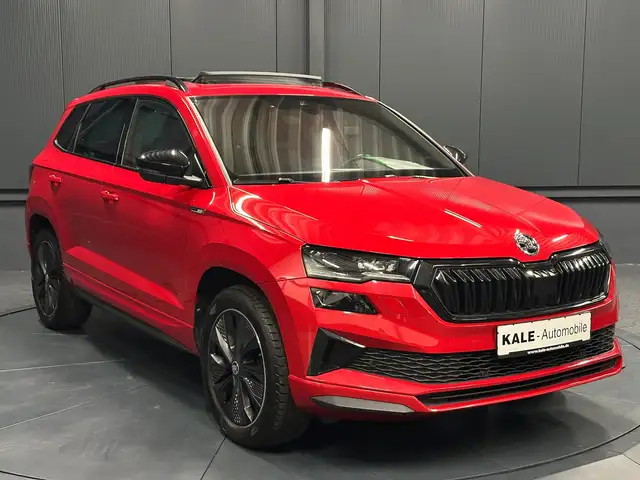 Skoda Karoq view 7