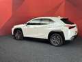 Lexus UX 300e Business 54 kWh | Adaptive Cruise | Clima | Rijmod Weiß - thumbnail 19