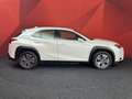 Lexus UX 300e Business 54 kWh | Adaptive Cruise | Clima | Rijmod Weiß - thumbnail 16