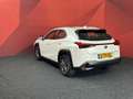 Lexus UX 300e Business 54 kWh | Adaptive Cruise | Clima | Rijmod Weiß - thumbnail 6