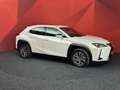 Lexus UX 300e Business 54 kWh | Adaptive Cruise | Clima | Rijmod Weiß - thumbnail 18