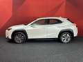 Lexus UX 300e Business 54 kWh | Adaptive Cruise | Clima | Rijmod Weiß - thumbnail 17