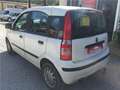 Fiat Panda 1.3 Multijet 16v 70ch Blanc - thumbnail 3