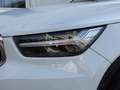 Volvo XC40 T4 Aut. |Sportpaket| HarmanKardon| Kamera | Weiß - thumbnail 33