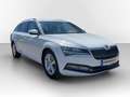 Skoda Superb Combi 2.0 TSI DSG 4x4 Style DCC AHK*PANO*STHZG*... Weiß - thumbnail 4