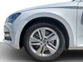 Skoda Superb Combi 2.0 TSI DSG 4x4 Style DCC AHK*PANO*STHZG*... Weiß - thumbnail 17
