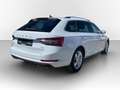 Skoda Superb Combi 2.0 TSI DSG 4x4 Style DCC AHK*PANO*STHZG*... Weiß - thumbnail 5
