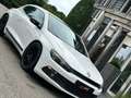 Volkswagen Scirocco 2.0 TSI Blanco - thumbnail 11