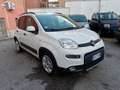 Fiat Panda Panda  1.0 firefly hybrid City Life clima Aut. Weiß - thumbnail 2