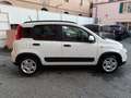 Fiat Panda Panda  1.0 firefly hybrid City Life clima Aut. Blanc - thumbnail 8