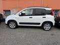 Fiat Panda Panda  1.0 firefly hybrid City Life clima Aut. Weiß - thumbnail 9