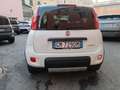 Fiat Panda Panda  1.0 firefly hybrid City Life clima Aut. Weiß - thumbnail 5