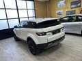 Land Rover Range Rover Evoque 2.2 Td4 150 cv “PELLE/FULL LED/VETRI OSC/18”-2 - thumbnail 14
