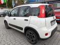 Fiat Panda 1.0 FireFly S&S Hybrid City Life Білий - thumbnail 4