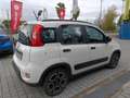 Fiat Panda 1.0 FireFly S&S Hybrid City Life Blanc - thumbnail 5