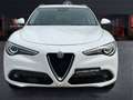 Alfa Romeo Stelvio 2017 2.2 t Executive Q4 190cv auto my19 Bianco - thumbnail 2
