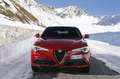 Alfa Romeo Stelvio 2017 2.2 t Executive Q4 190cv auto my19 Bianco - thumbnail 4