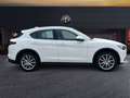 Alfa Romeo Stelvio 2017 2.2 t Executive Q4 190cv auto my19 Bianco - thumbnail 3