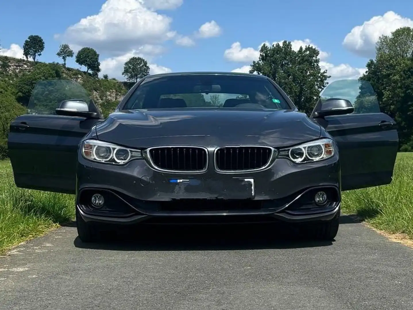 BMW 420 4er Cabrio Diesel 420d Cabrio Aut. Luxury Line Grau - 1