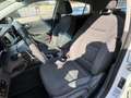Hyundai IONIQ Ioniq 1.6 hybrid Comfort Plus Pack 6dct my19 Bianco - thumbnail 8
