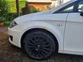 SEAT Leon Style Ecomotive Alb - thumbnail 12