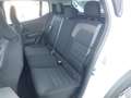 Dacia Sandero Stepway Essential TCe 90 * SUPER SALE * Weiß - thumbnail 10