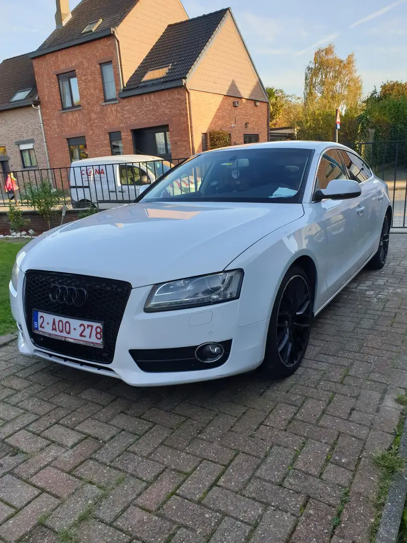 Audi A5 A5 Sportback 2..0 TDi  Multitronic (EXPORT) Blanc - 1