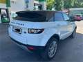 Land Rover Range Rover Evoque Range Rover Evoque 2,2 150 SE LEDER+NAV+XENO S - thumbnail 6