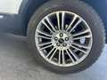 Land Rover Range Rover Evoque Range Rover Evoque 2,2 150 SE LEDER+NAV+XENO S - thumbnail 19