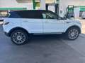 Land Rover Range Rover Evoque Range Rover Evoque 2,2 150 SE LEDER+NAV+XENO S - thumbnail 5