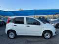 Fiat Panda 1.0 70 CV S&S Hybrid Pop Van 2 posti- EURO6 Weiß - thumbnail 3
