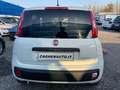 Fiat Panda 1.0 70 CV S&S Hybrid Pop Van 2 posti- EURO6 Weiß - thumbnail 5