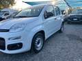 Fiat Panda 1.0 70 CV S&S Hybrid Pop Van 2 posti- EURO6 Weiß - thumbnail 7