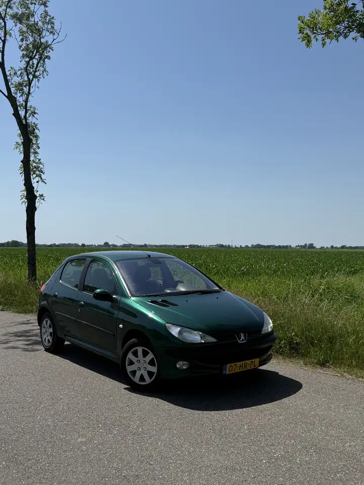 Peugeot 206 1.4 Gentry, foto 1