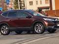 Honda CR-V CR-V 1.5 t Elegance Navi awd 193cv cvt Nero - thumbnail 11